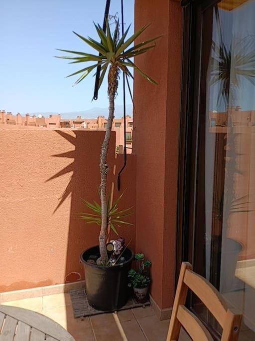 Apartamento Con Vistas El Medano  Bagian luar foto